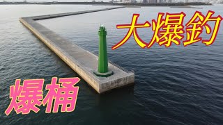 台南安平 新北堤 磯釣 大爆釣 狂咬