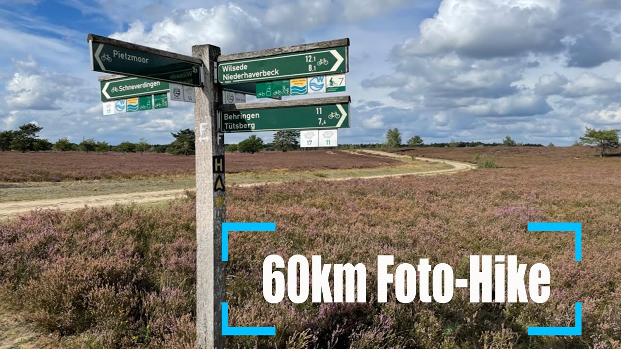 Die schönste Wanderung in der Lüneburger Heide - Grosse Wilsederberg ...