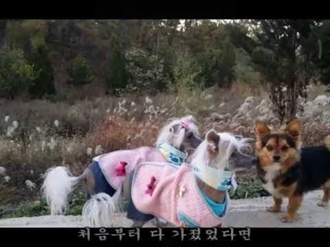 둠바둠바 진시몬-가사 첨부