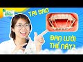 Sao Lại Đan Lưới Vào Niềng Răng? Thun Liên Hàm Là Gì?