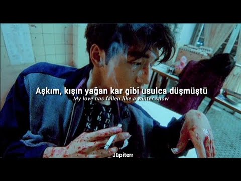 Paper Swans - Somewhere in Your Eyes (Türkçe Çeviri/Lyrics) 