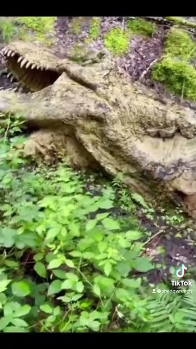 Omg A Dead T-Rex 🦖 #shorts #dinosaur