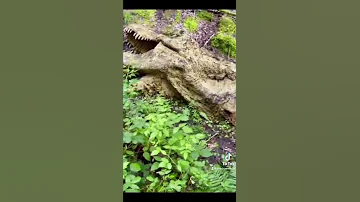 Omg A Dead T Rex Shorts Dinosaur 
