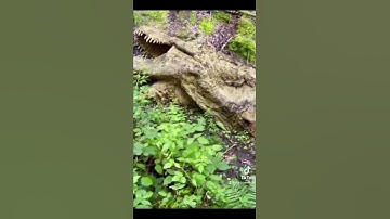 Thumbnail of Omg A Dead T-Rex 🦖 #shorts #dinosaur