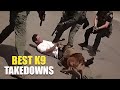 🚨🔵 K9 Police Dogs in Action (Takedowns and Appearances)