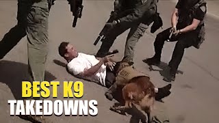 Top K9 Police Takedowns: Most Thrilling Police Dog Operations Caught On Camera | True Crime PBC