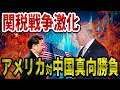 【ゆっくり解説】関税戦争~C国トランプの関税に納得いかなかったから報復したら倍返しされた件
