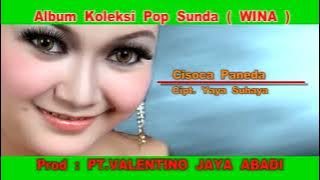 Wina - Cisoca Paneda (Original VCD Karaoke) #valentinojayaabadi