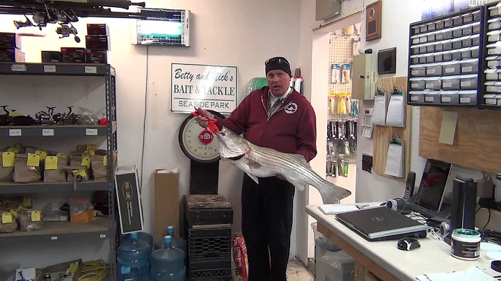11 4 13 Anthony Senatore 23 Pound 8 Ounce Bass