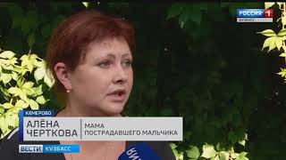 В Кемерове агрессивная собака напала на ребёнка В Кемерове агрессивная собака напала на ребёнка