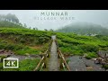 Walking in a Munnar Village on a Foggy day | 4K Walking tour in Kerala