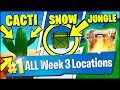 DESTROY CACTI IN THE DESERT, SEARCH AMMO BOXES IN THE SNOW, CHESTS JUNGLE (Fortnite Season 8 Week 3)