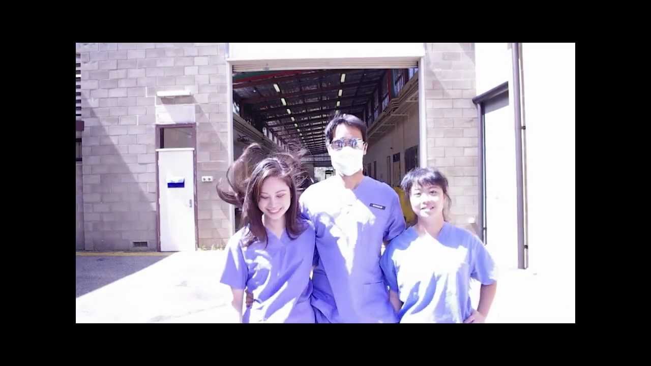 Oppa Vet School Style (Gangnam Style parody)- Murdoch University Vet Revue 2012