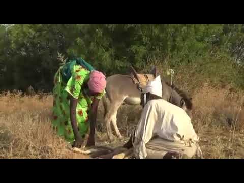 مسلسلة دارفورية