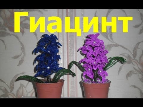 Связанные мужчины кляп Связанные мужчины кляп