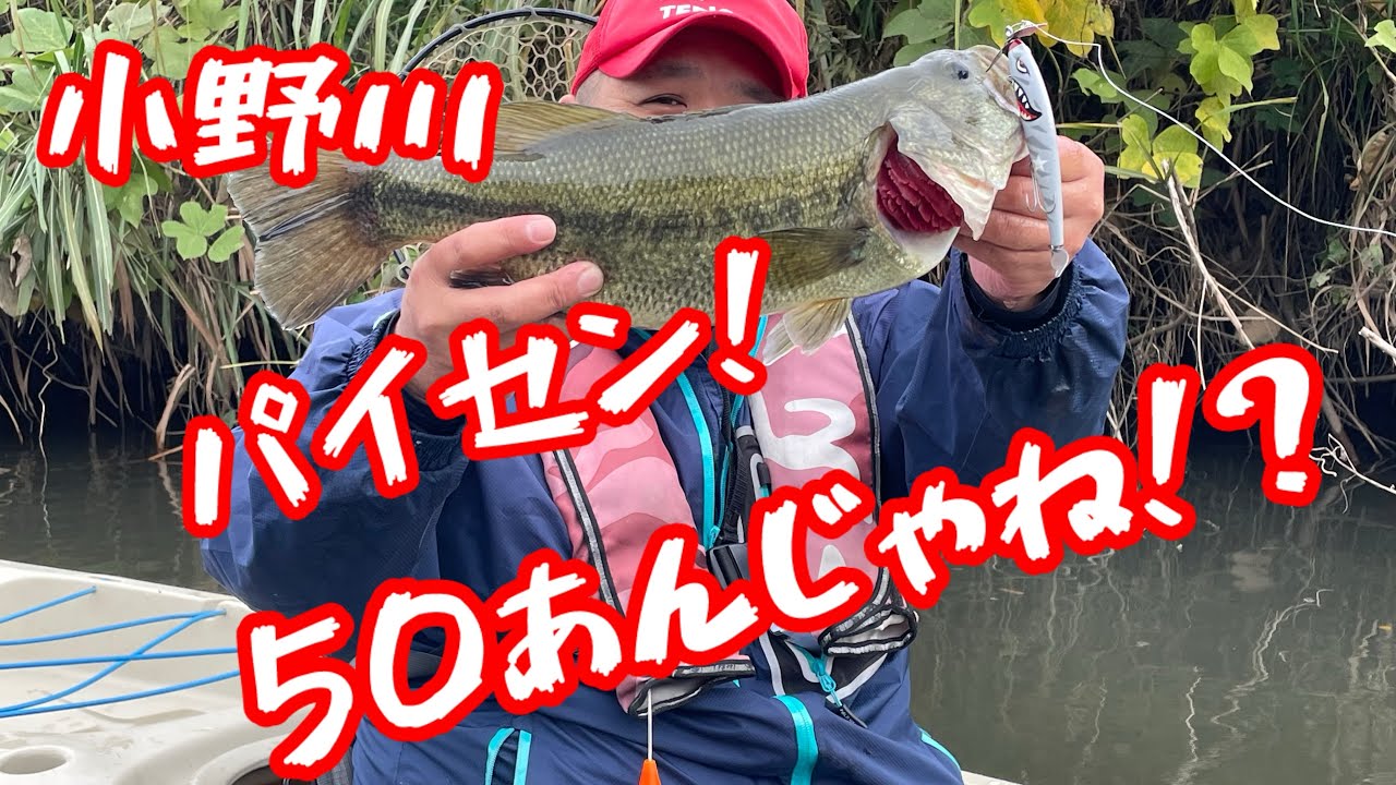 #トップウォーター #カヤックフィッシング#bassfishing #小野川#fishing #霞水系#バス釣り