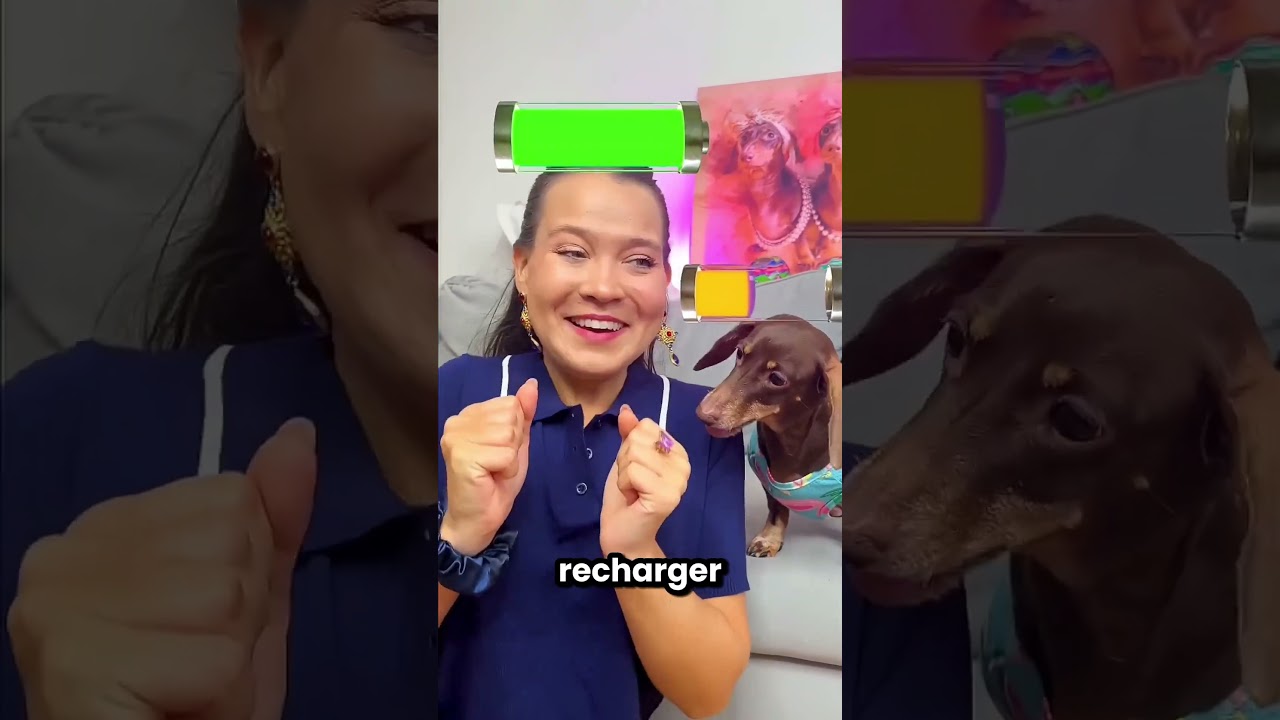 Ce chien est très bon avec sa famille 🤩❤️