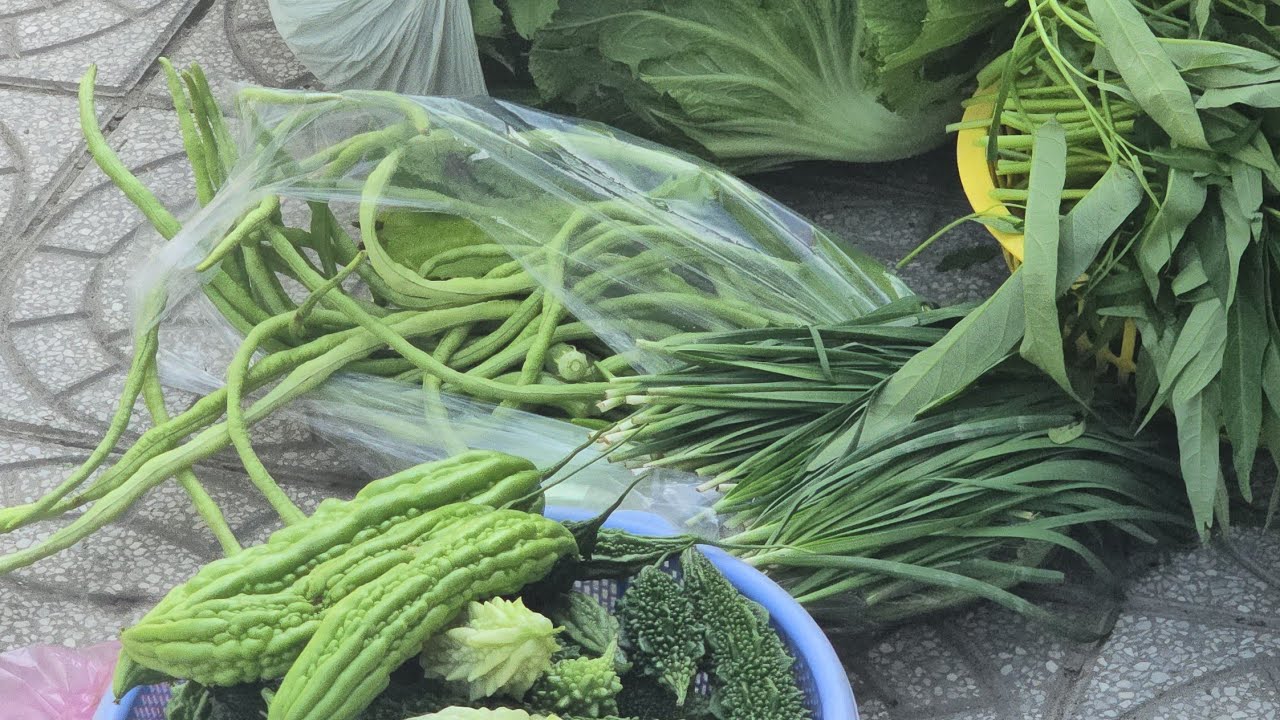 THU HOẠCH ĂN TẾT #TRỒNG RAU SẠCH