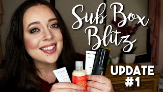 Subscription Box Blitz Project Pan | Update #1