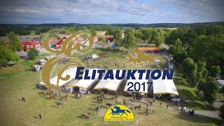 Elitauktionen 2017