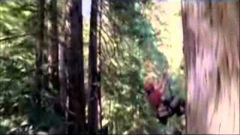 سورة الممتحنه للشيخ أحمد العجمي