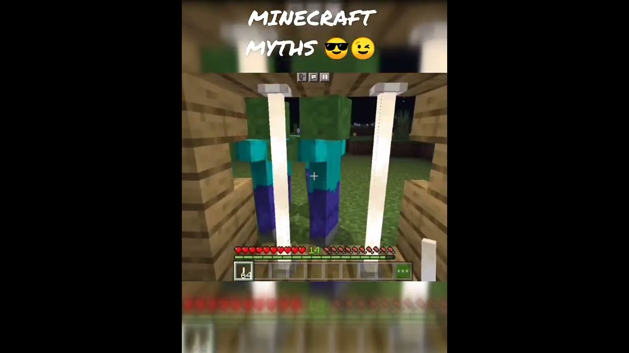 MINECRAFT CRAZY MYTHBUSTERS 😯😯 | part 1 | #shorts #minecraftshorts #shortsvideo