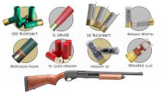 Celebrity Every Shotgun Shell Explained! Profile
