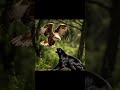 Eagle vs Black Panther ultimate jungle fight | #eagleattack #blackpanther #animalfight