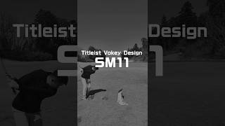 【人気ウェッジ3シリーズ打ち比べ】 Vokey SM11、s259、OPUS SP+ を新宅理輝プロに打ち比べてもらいました。 #golf #ウェッジ #タイトリスト #キャロウェイ #ping
