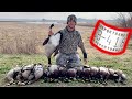 Our BEST Hunt EVER!! - Public Land BANDED Goose