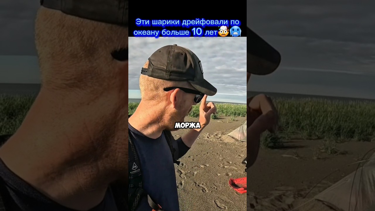 Очень старые находки на берегу океана 