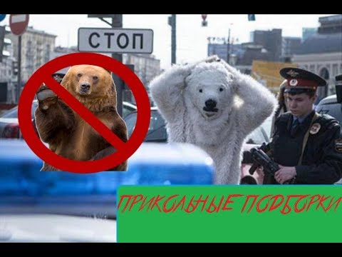 ПРИКОЛЫ 2017 Ноябрь 8 угар прикол ржака до слез ФЕЙЛЫ И ПРАНКИ