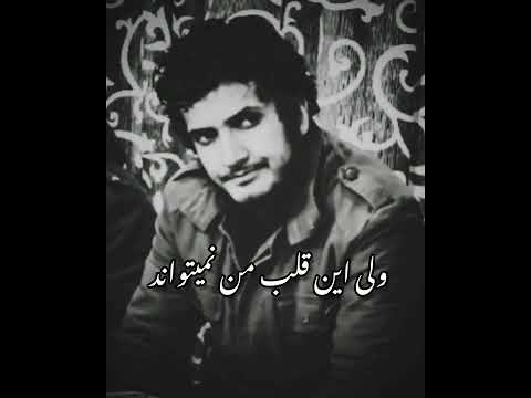 زیر نویس نشید فوق العاده زیبا عربی يا تارك دنيا الهوا رثاء شهداء تحفه برای بازماندگان شهدا