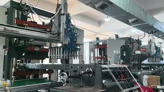 Production Line for Clamshell Packaging of Berries. #factory #clamshell #packaging #container