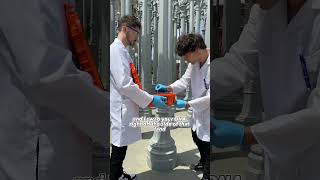 Cloning a MODEL in a DNA Laboratory🧬🥼