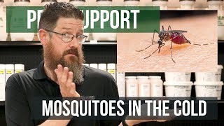 Do Mosquitoes Really Go Away When it's Cold Outside? | Pest Support