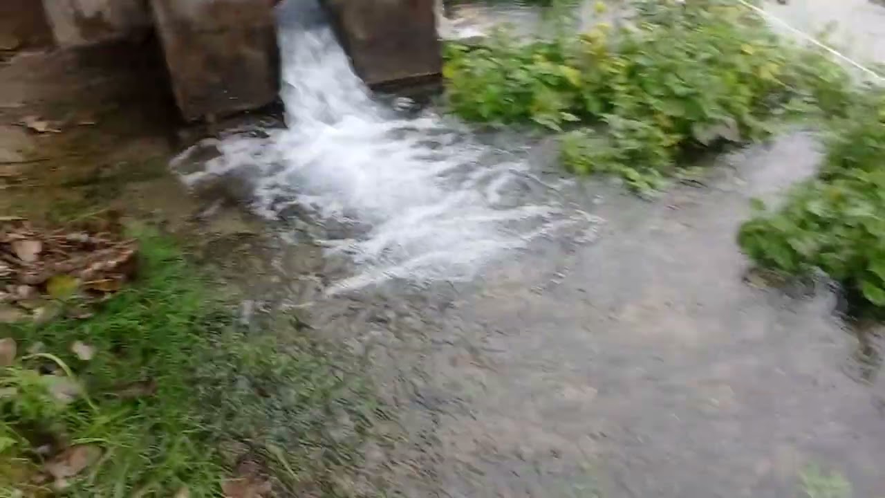 Gehun bharane ke liye Aaye Hain