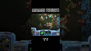 프로브만 가져갈게 #헌터팀플 #스타크래프트