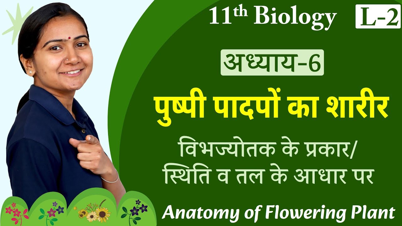 L-2, विभज्योतक के प्रकार-स्थिति व तल के आधार पर | अध्याय-6, पुष्पी पादपों का शारीर | 11th Biology