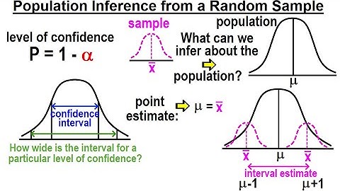 Statistics: Ch 9 Hypothesis Testing (24 of 35) Population Inference from a Random Sample