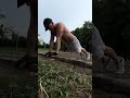 Tried Diamond Push Ups рџ Ћ Tried Diamond Push Ups рџ Ћ