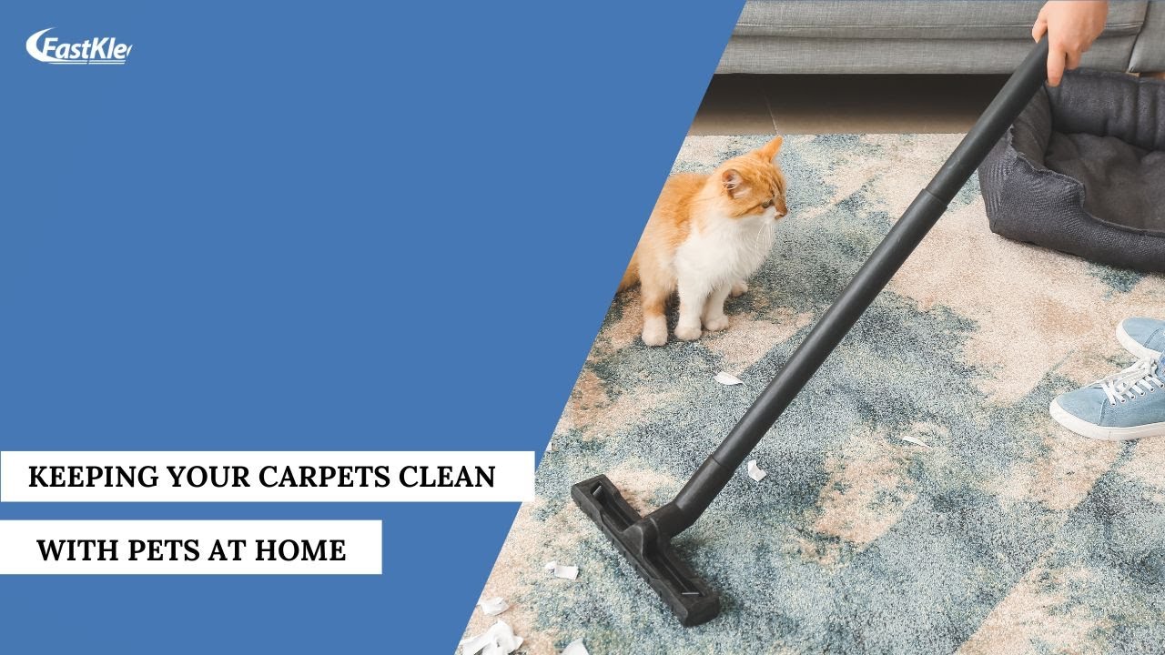 Keeping Your CARPETS Clean And Fresh With Pets at Home (Cleaning Hacks)