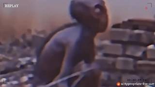 По настоящему СТРАШНЫЕ ВИДЕО, которые не поддаются объяснению