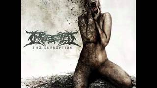 ingested omega cover