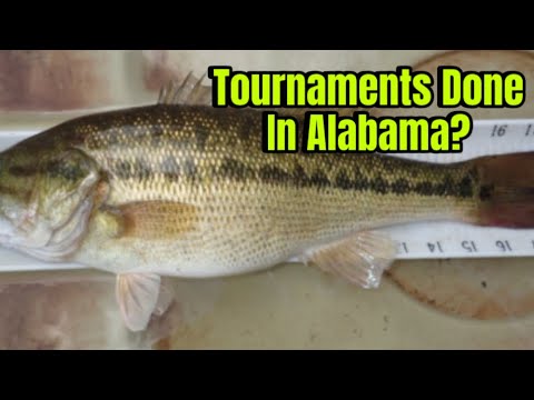 Proposed Alabama Law Poised To End Bass Tournaments In The State…