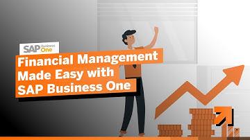 SAP Business One Financial Management
