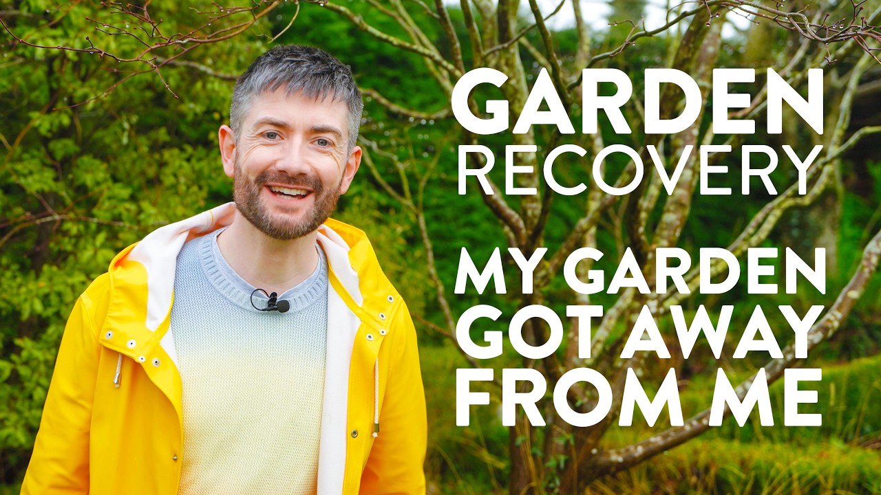 Восстановление начинается здесь | Февральская экскурсия по садам, посвященная честности