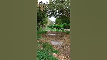 #تلاوة من #المصحف الشريف للقارئ الشيخ #المنشاوي من سورة #ابراهيم
