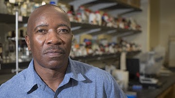 Small particles, big impact? Exploring how nanomaterials decompose