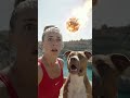 Woman and pit bull about to dive and a meteor hits the lake! #Meteor #Dog #Viral
